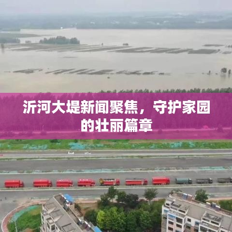 沂河大堤新闻聚焦，守护家园的壮丽篇章