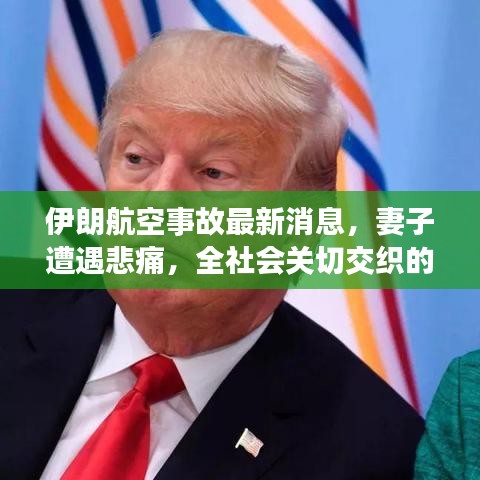伊朗航空事故最新消息，妻子遭遇悲痛，全社会关切交织的时刻
