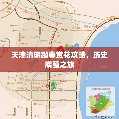 天津清明踏春赏花攻略，历史底蕴之旅
