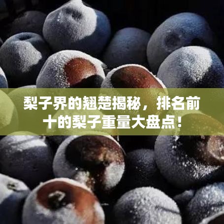 梨子界的翘楚揭秘，排名前十的梨子重量大盘点！