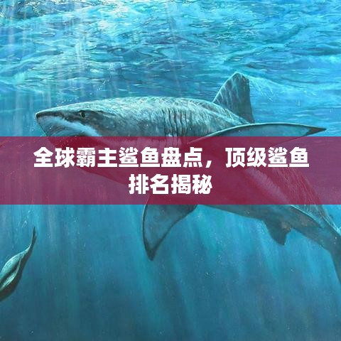 全球霸主鲨鱼盘点，顶级鲨鱼排名揭秘