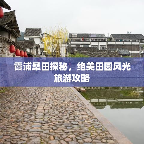 霞浦桑田探秘，绝美田园风光旅游攻略
