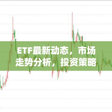 ETF最新动态，市场走势分析，投资策略调整指南