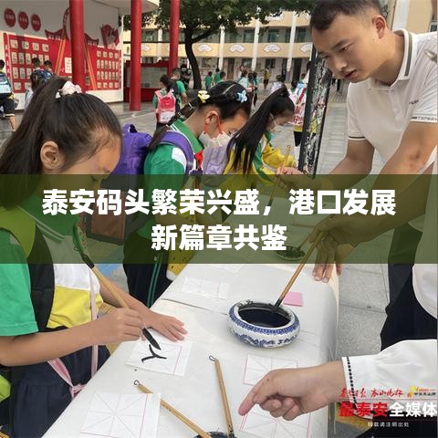 泰安码头繁荣兴盛，港口发展新篇章共鉴