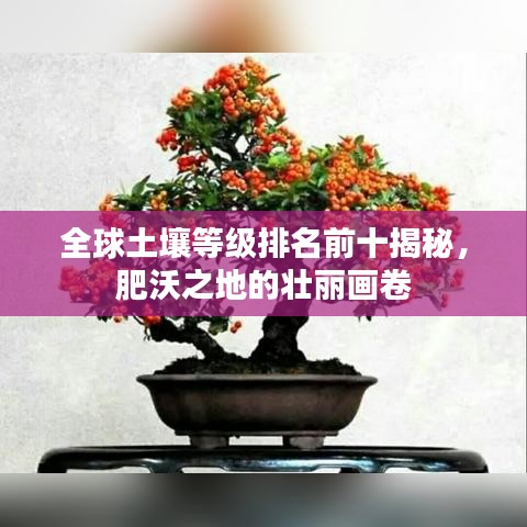 全球土壤等级排名前十揭秘，肥沃之地的壮丽画卷