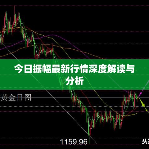 今日振幅最新行情深度解读与分析
