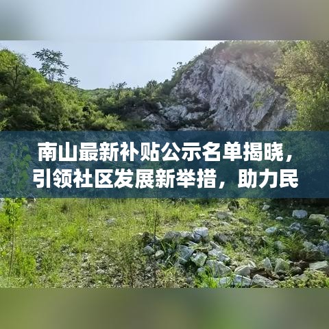 南山最新补贴公示名单揭晓，引领社区发展新举措，助力民生福祉提升！
