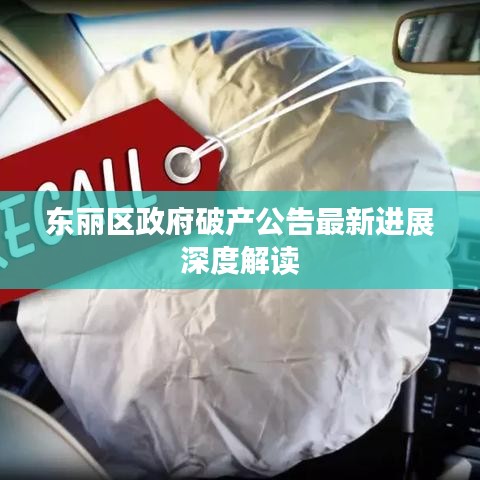 东丽区政府破产公告最新进展深度解读