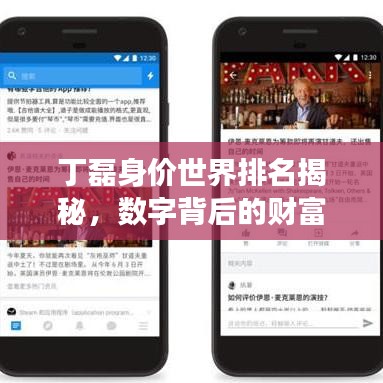 丁磊身价世界排名揭秘，数字背后的财富传奇与深度洞察