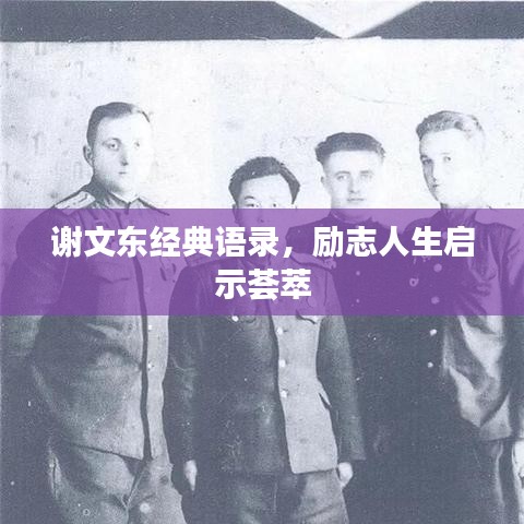 谢文东经典语录，励志人生启示荟萃