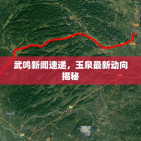 武鸣新闻速递，玉泉最新动向揭秘