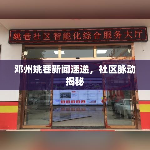 邓州姚巷新闻速递，社区脉动揭秘