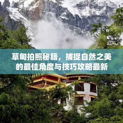 草甸拍照秘籍，捕捉自然之美的最佳角度与技巧攻略最新