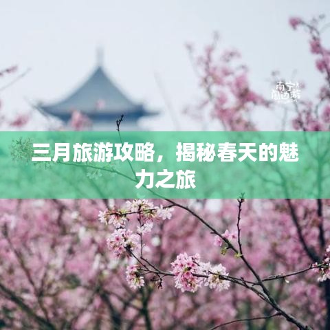 三月旅游攻略，揭秘春天的魅力之旅