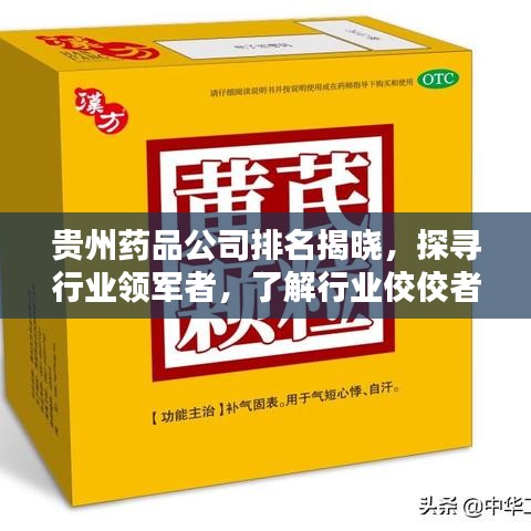 贵州药品公司排名揭晓，探寻行业领军者，了解行业佼佼者！
