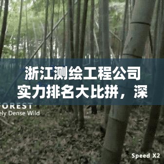 浙江测绘工程公司实力排名大比拼，深度解析行业佼佼者！