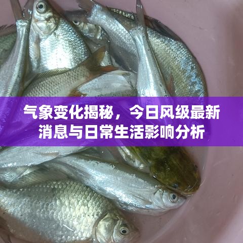 气象变化揭秘，今日风级最新消息与日常生活影响分析