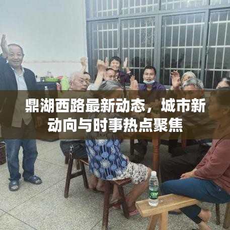 鼎湖西路最新动态，城市新动向与时事热点聚焦