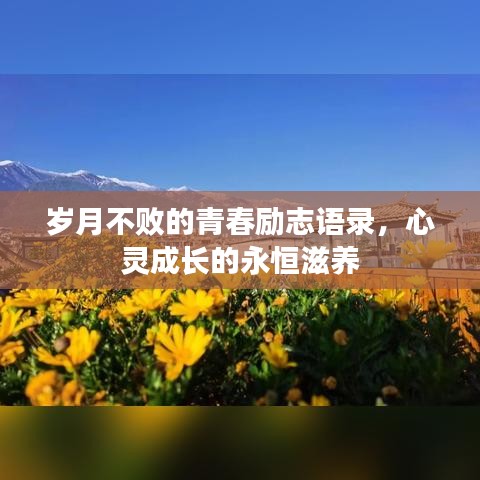 岁月不败的青春励志语录，心灵成长的永恒滋养