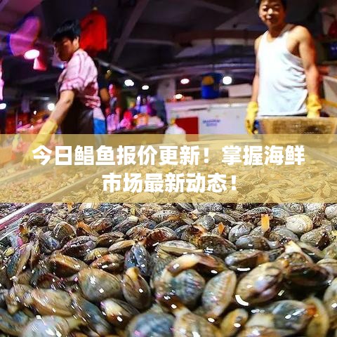今日鲳鱼报价更新！掌握海鲜市场最新动态！