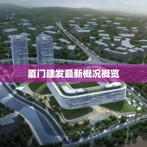 厦门建发最新概况概览