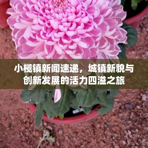 小榄镇新闻速递，城镇新貌与创新发展的活力四溢之旅