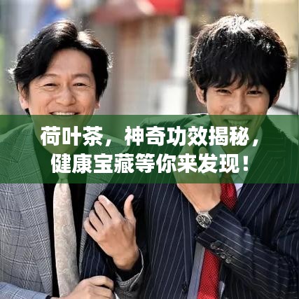 荷叶茶，神奇功效揭秘，健康宝藏等你来发现！