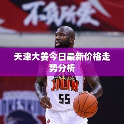 天津大姜今日最新价格走势分析
