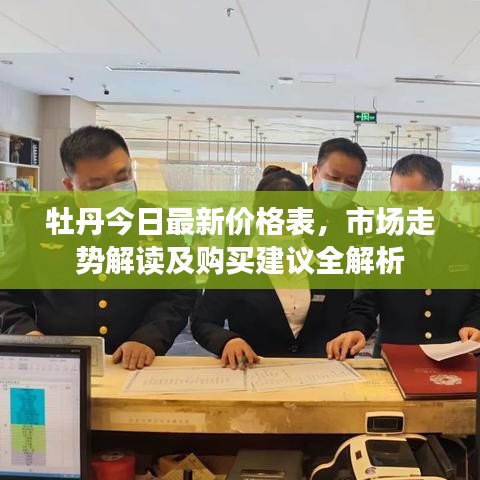 牡丹今日最新价格表，市场走势解读及购买建议全解析