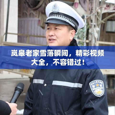 岚皋老家雪落瞬间，精彩视频大全，不容错过！