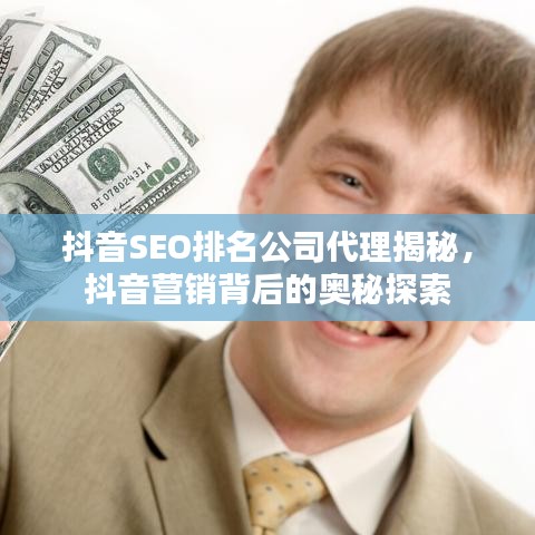 抖音SEO排名公司代理揭秘，抖音营销背后的奥秘探索