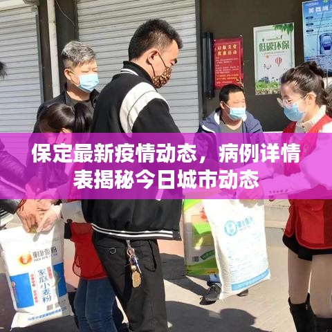 保定最新疫情动态，病例详情表揭秘今日城市动态