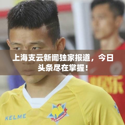 上海支云新闻独家报道，今日头条尽在掌握！