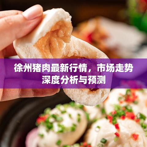 徐州猪肉最新行情，市场走势深度分析与预测