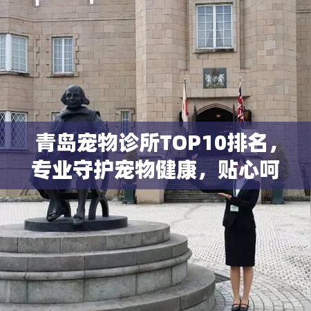 青岛宠物诊所TOP10排名，专业守护宠物健康，贴心呵护每一个生命