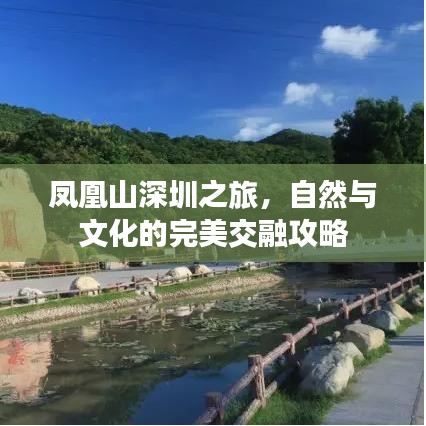 凤凰山深圳之旅，自然与文化的完美交融攻略
