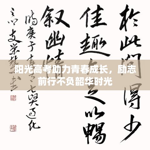 阳光高考助力青春成长，励志前行不负韶华时光