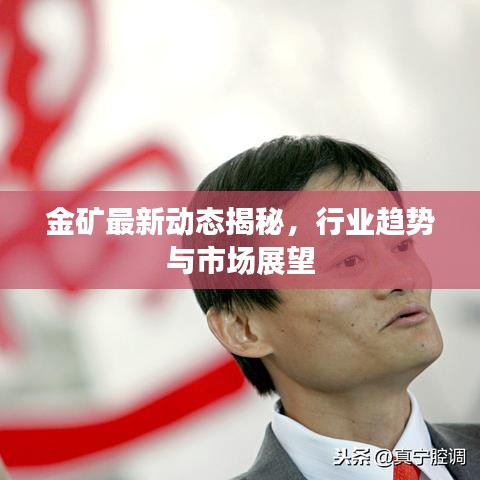 金矿最新动态揭秘，行业趋势与市场展望