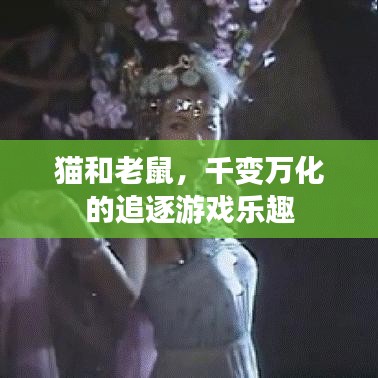猫和老鼠，千变万化的追逐游戏乐趣