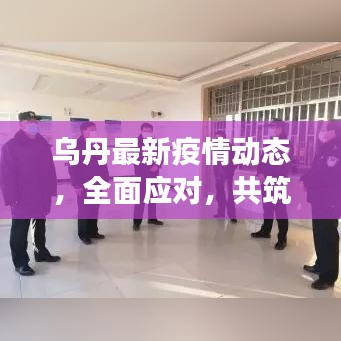乌丹最新疫情动态，全面应对，共筑防控长城，共同守护家园安全