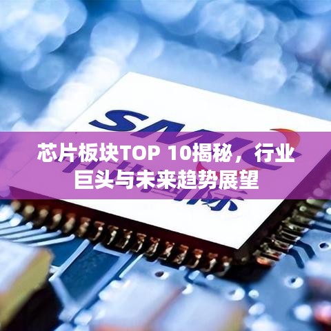 芯片板块TOP 10揭秘，行业巨头与未来趋势展望