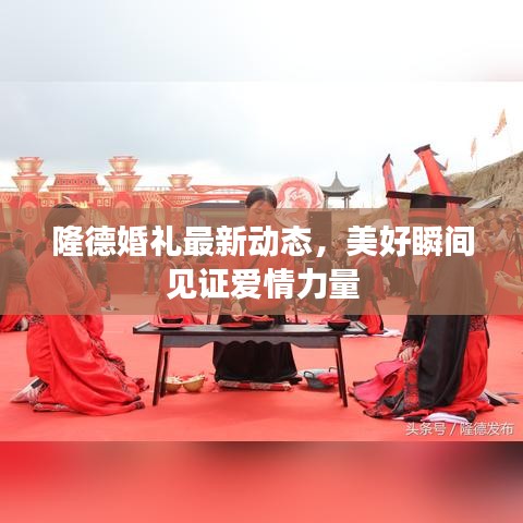 隆德婚礼最新动态，美好瞬间见证爱情力量