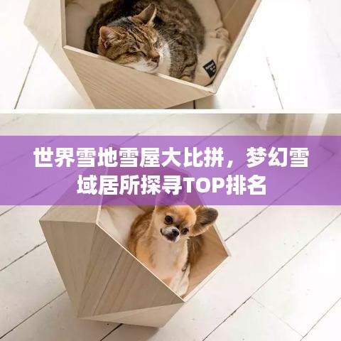 世界雪地雪屋大比拼，梦幻雪域居所探寻TOP排名