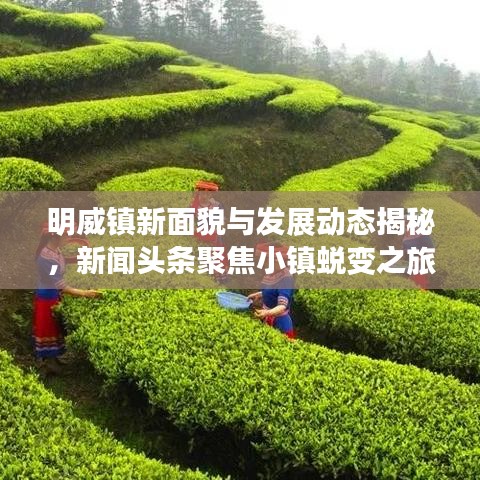 明威镇新面貌与发展动态揭秘，新闻头条聚焦小镇蜕变之旅