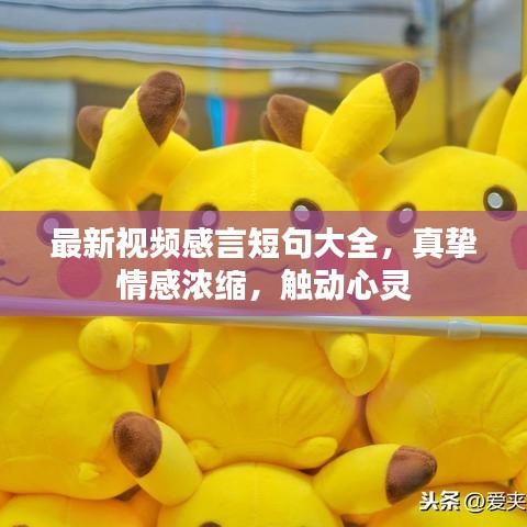 最新视频感言短句大全，真挚情感浓缩，触动心灵