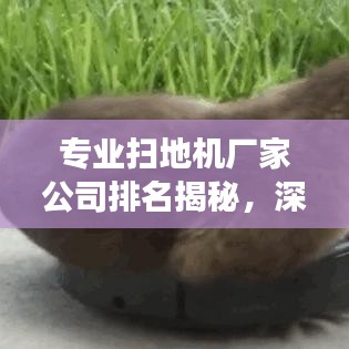专业扫地机厂家公司排名揭秘，深度剖析市场格局，带你洞悉行业趋势
