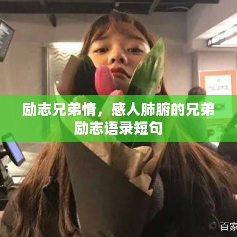 励志兄弟情，感人肺腑的兄弟励志语录短句