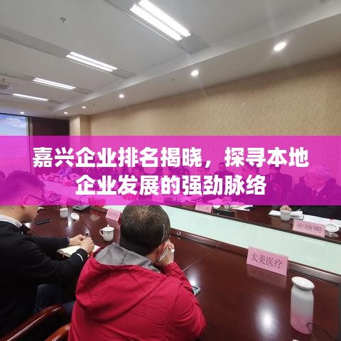 嘉兴企业排名揭晓，探寻本地企业发展的强劲脉络