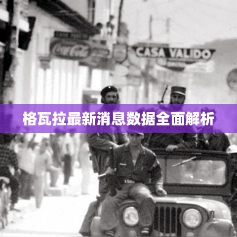 格瓦拉最新消息数据全面解析