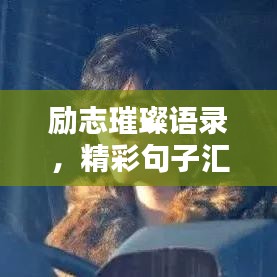 励志璀璨语录，精彩句子汇聚